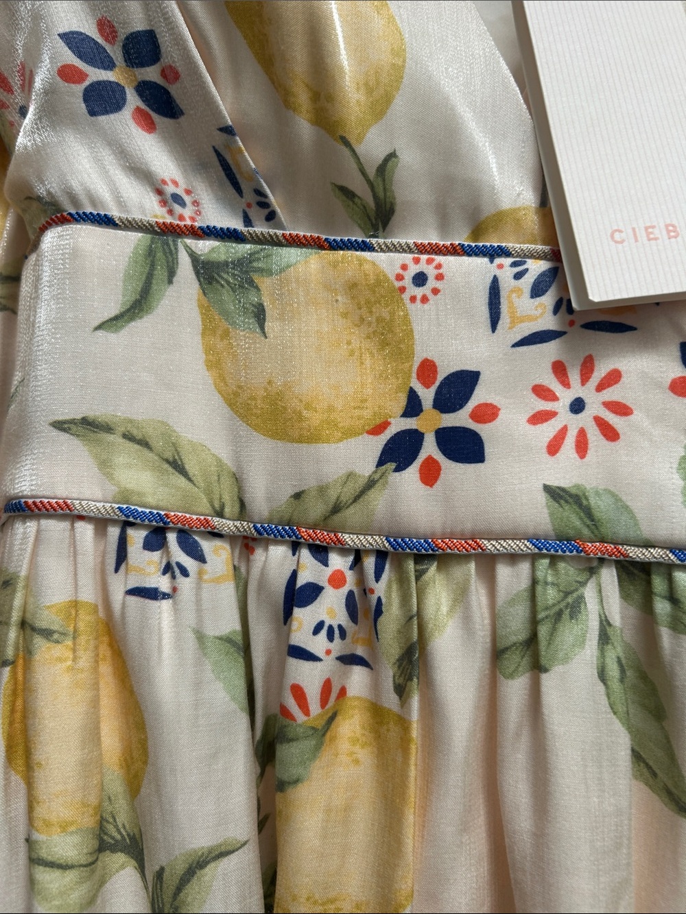 Ciebon Lemon Print Maxi Dress - Picture 5 of 12
